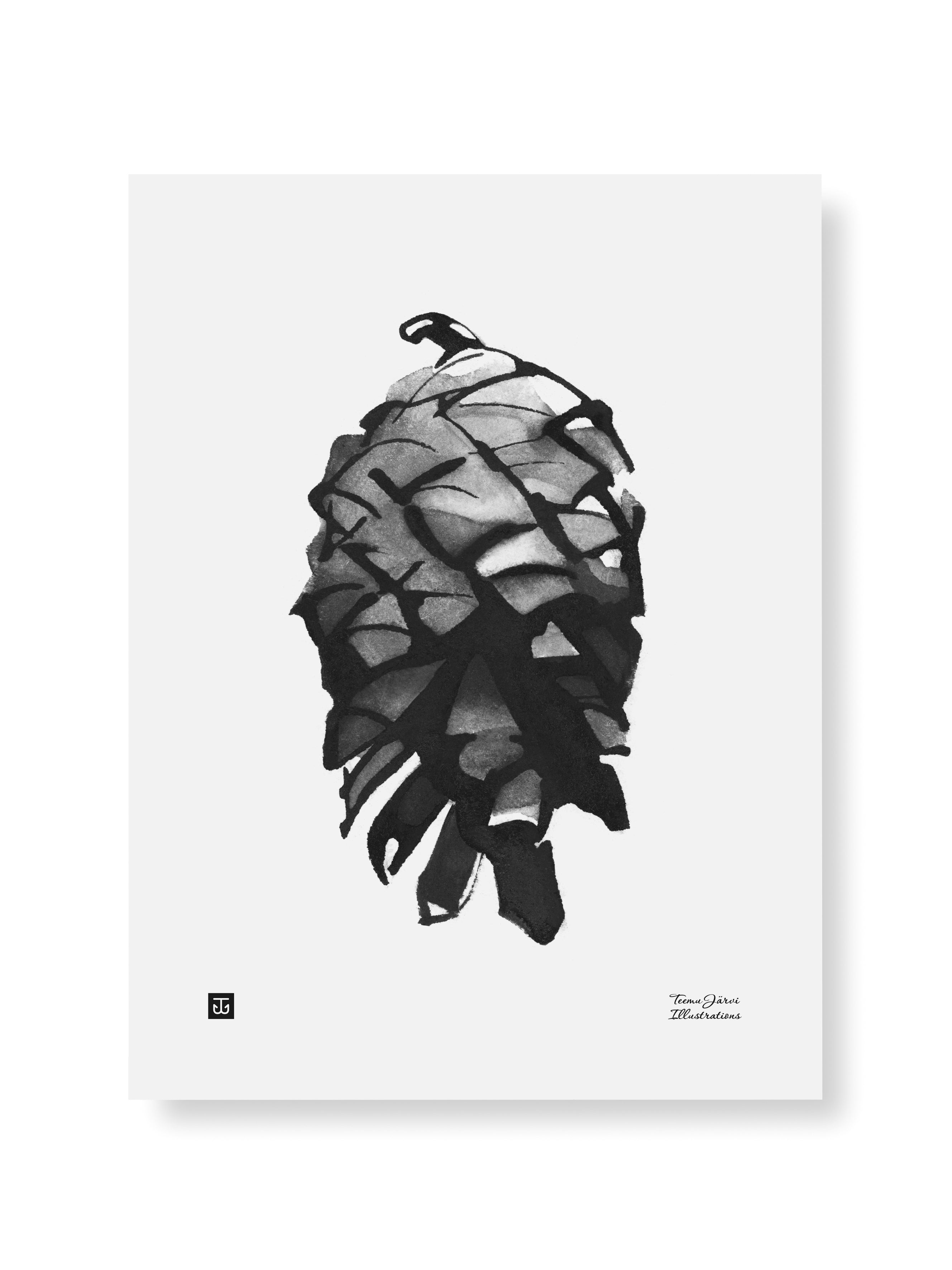 PINE CONE POSTER